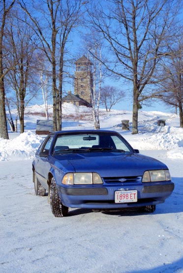 Mustang, Quabbin Reservoir, MA, 2000
